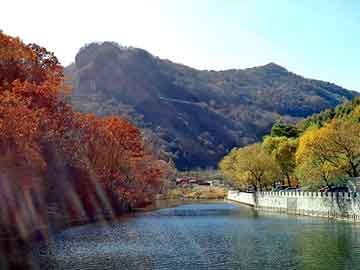 管家婆黑白马报图库，xiao shuo